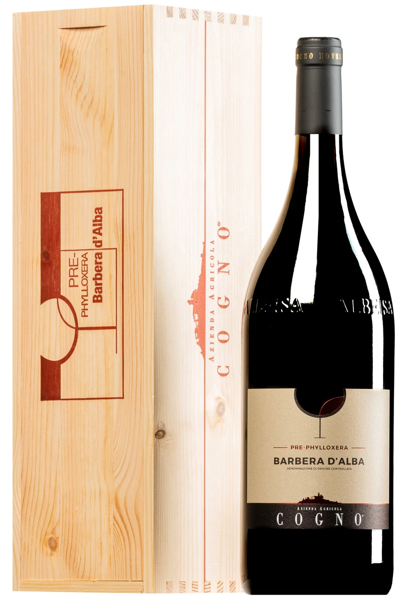 “Pre-Phylloxera” Barbera D’Alba DOC 2020 · MAGNUM In Original-Holzkiste 1 “Pre-Phylloxera” Barbera D’Alba DOC 2020 · MAGNUM In Original-Holzkiste