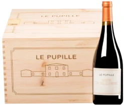 Syrah Toscana IGT 2016 · 6 Flaschen In Original-Holzkiste